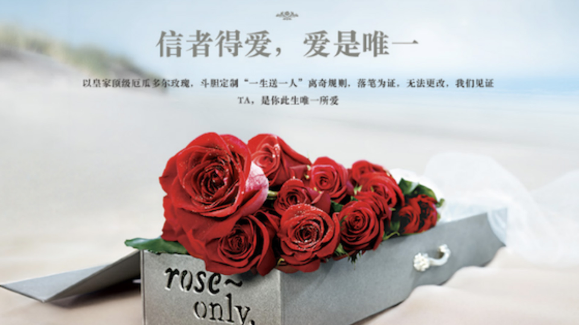 roseonly 花店品牌設計 花店vi設計 花店logo設計.jpg roseonly 花店品牌設計 花店vi設計 花店logo設計.jpg