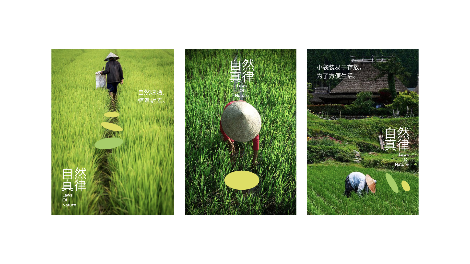 一方耘vi設計_雜糧海報設計.jpeg 一方耘vi設計_雜糧海報設計.jpeg