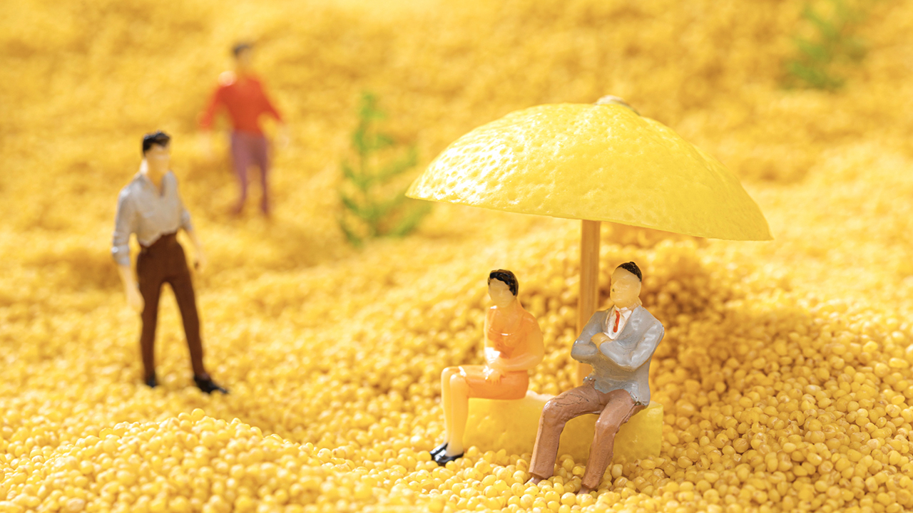 有機小米vi設計_雜糧包裝攝影.jpeg 有機小米vi設計_雜糧包裝攝影.jpeg