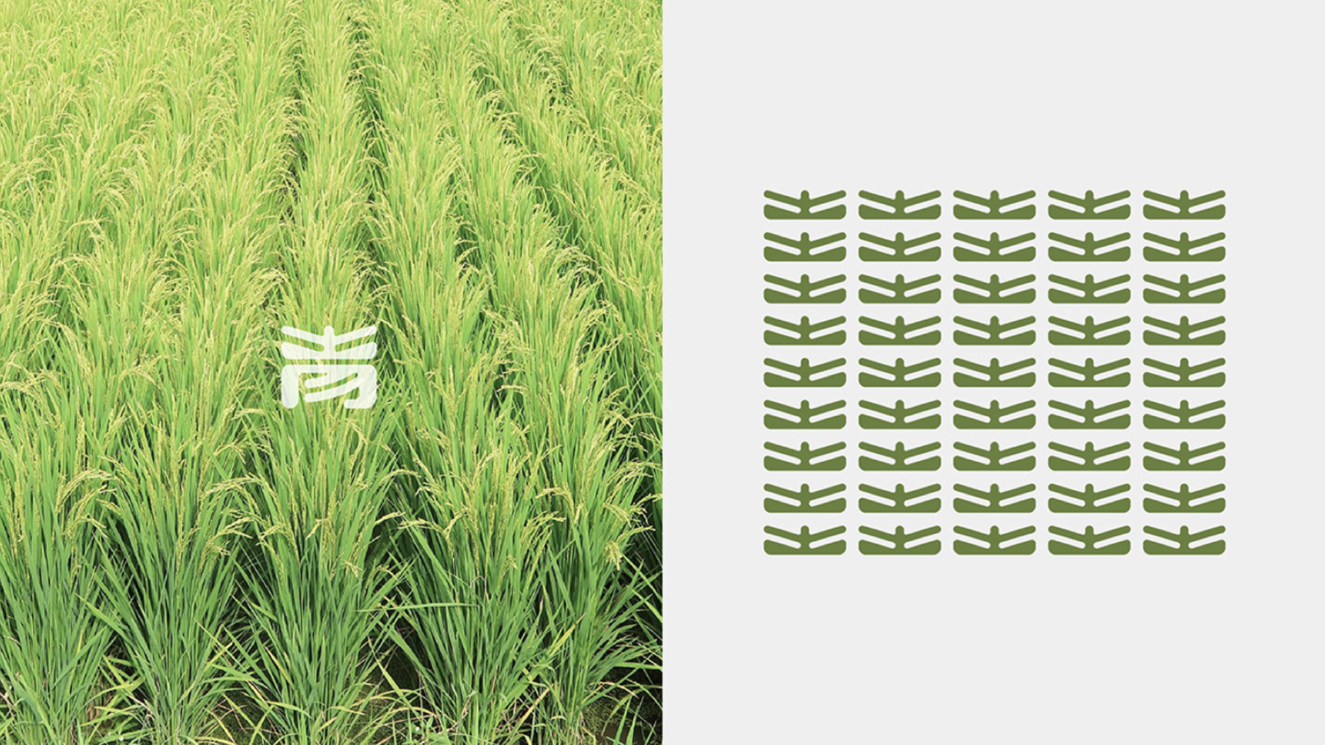 農產品vi設計.jpg 農產品vi設計.jpg